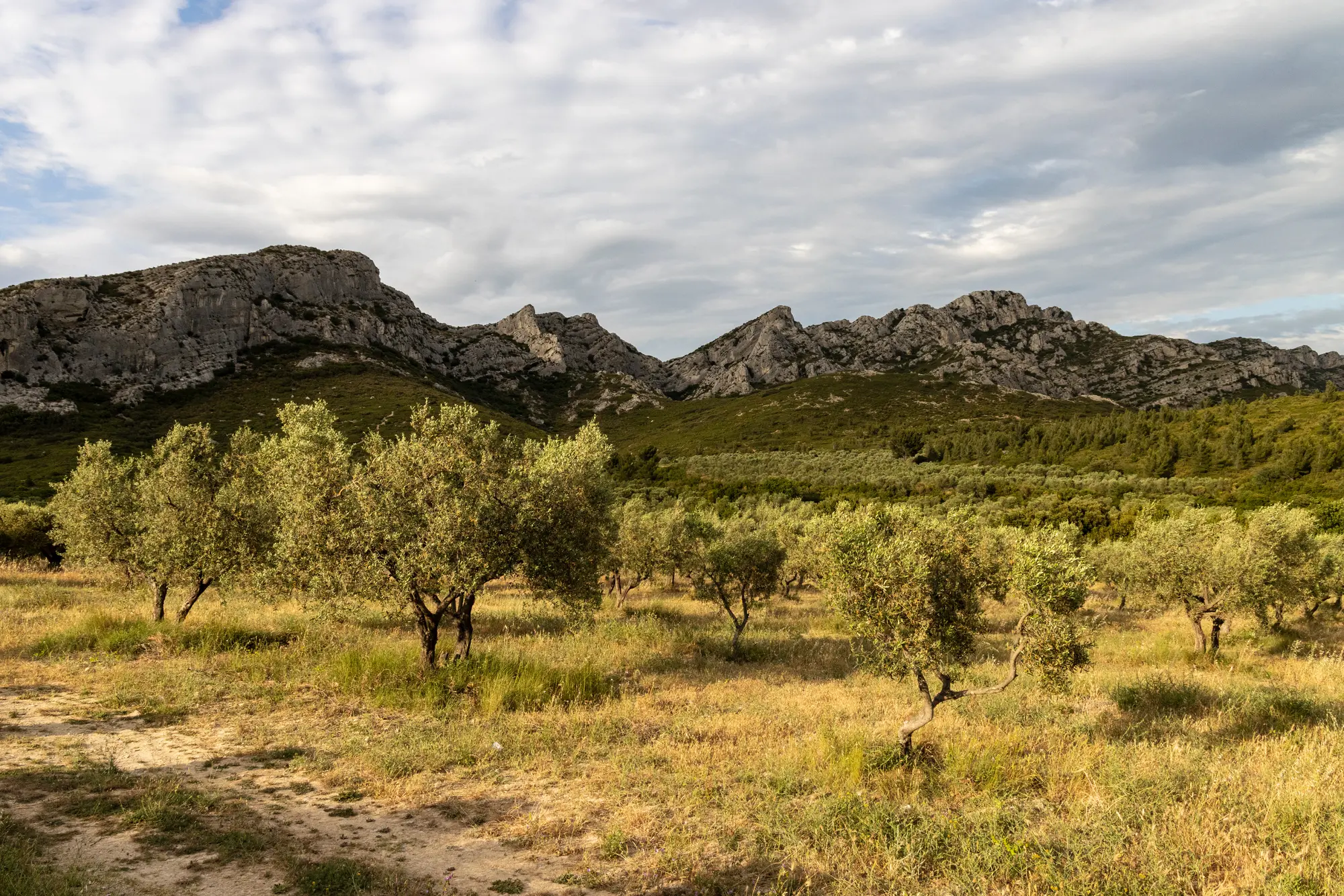 Alpilles landscape
